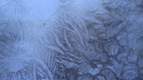 christmas blue background with frozen pattern on window