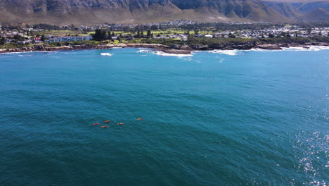 ecotourism in hermanus - kayakers paddle close to whales