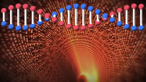 animation of dna strand over digital tunnel