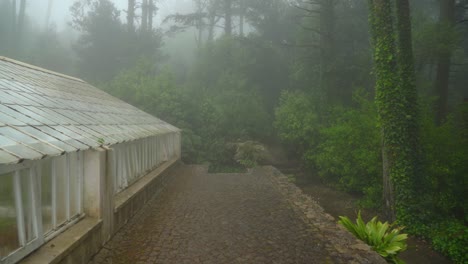 greenhouses with opened windows covered with thick mist in pena garden park and trees covered with leaves on other side