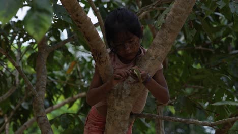 little brazilian girl climbing on a tree and looking at camera