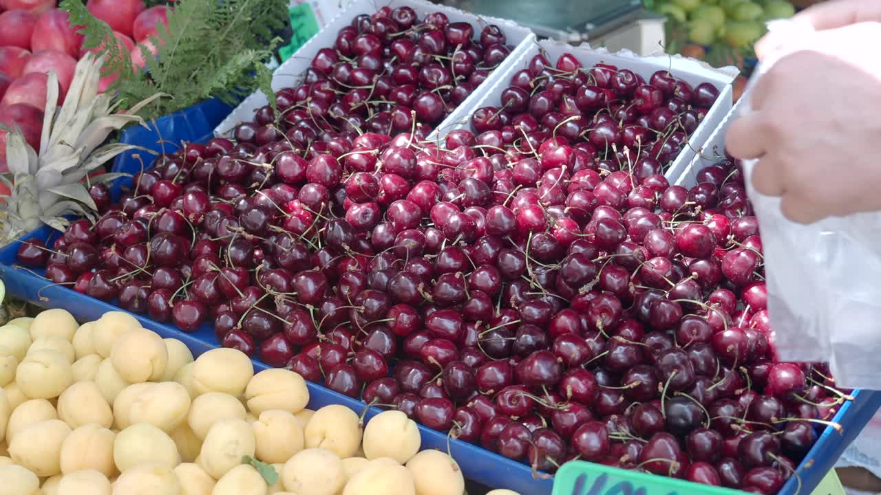 Picking Cherries at a Farmers Market