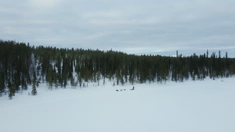 aerial drone shot of a dog sled on a frozen lake in finnish lapland