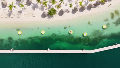 drone top down perspective of palm trees swaying, tropical beach umbrellas, pier, and yellow floating pads in caribbean sea, curacao