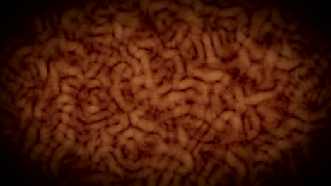 bacteria virus worms motion background loop