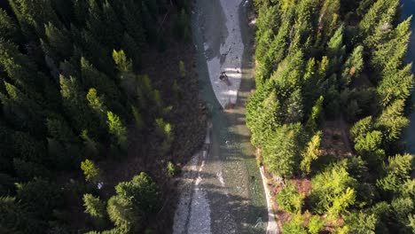 Bird's-Eye-view-over-creek-and-Evergreen-forest-at-Gold-Creek-Pond-in-Washington-State