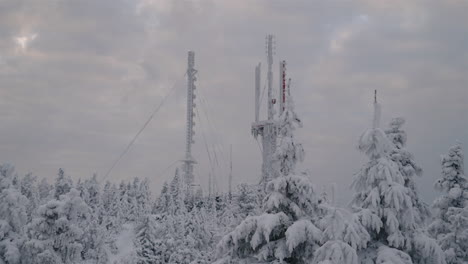 coniferous tree in forest and antenna towers at mont orford ski resort covered with snow during winter in quebec, canada