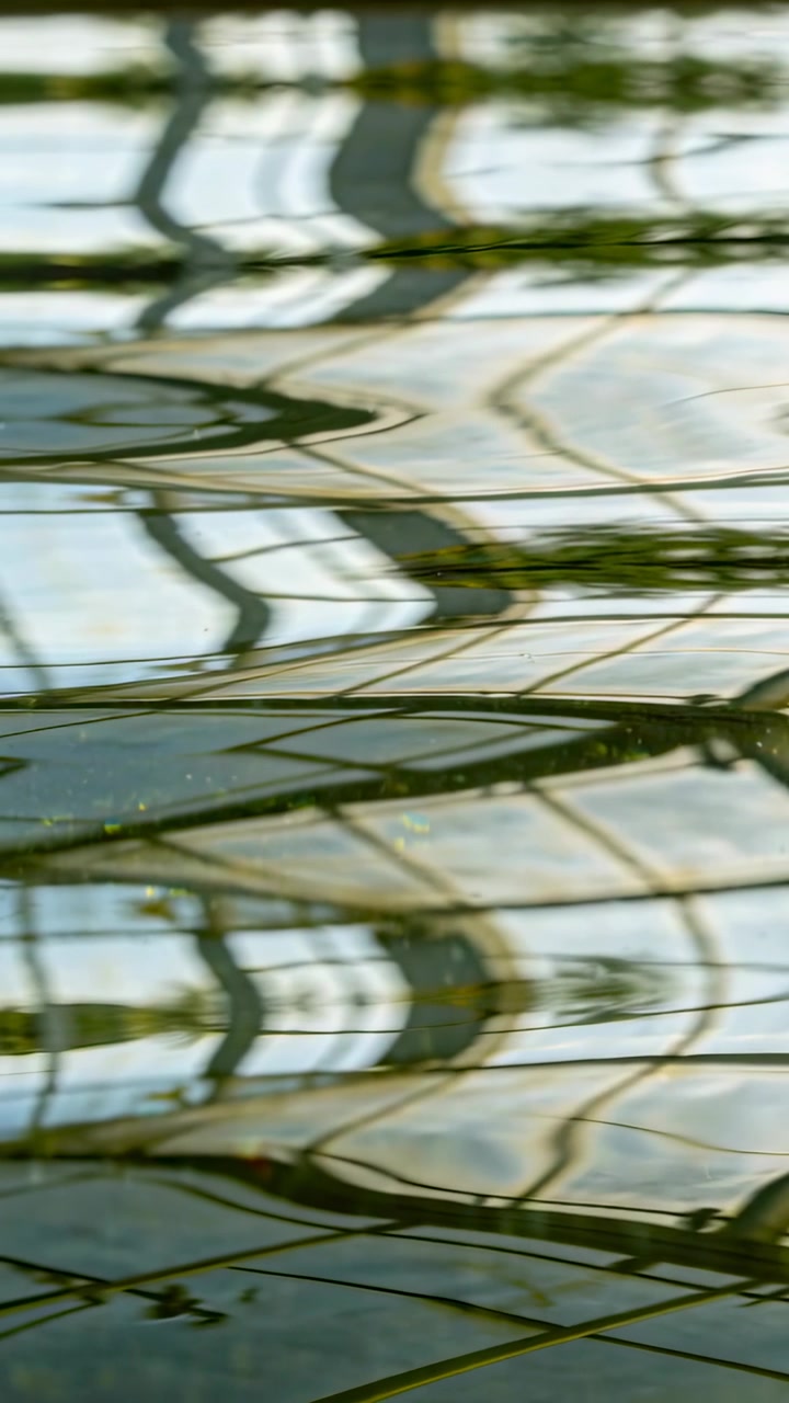 Vertical video: Rippling water surface warping grid at pond, reeds bowing, droplet shining