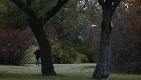 slow motion of an athletic man jogging in the park with a black tracksuit