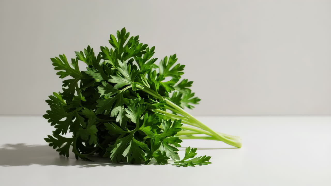 un ramo de perejil fresco