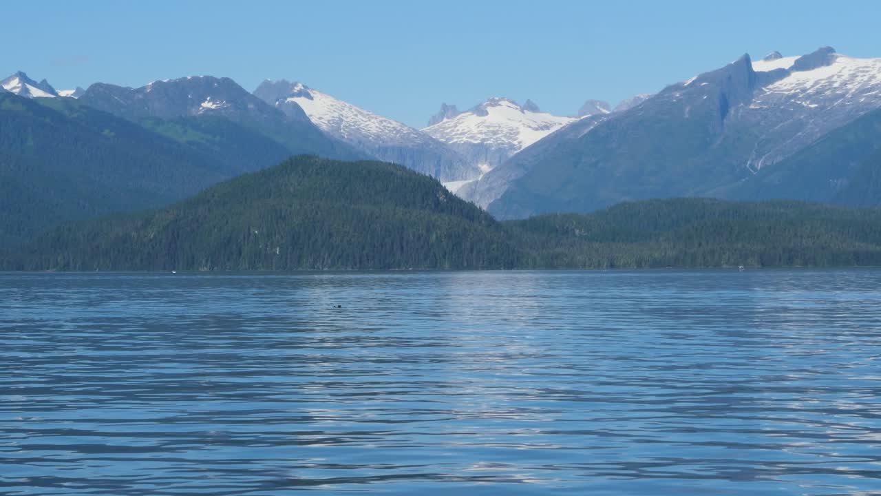 Splendido paesaggio dell'Alaska in una soleggiata giornata estiva.