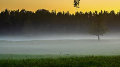 low lying clouds and fog moving over the