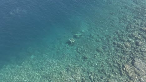 Vista-De-Pájaro-Del-Agua-Clara-Del-Océano-Cerca-De-La-Costa,-El-Arrecife-Cae-En-Lo-Profundo