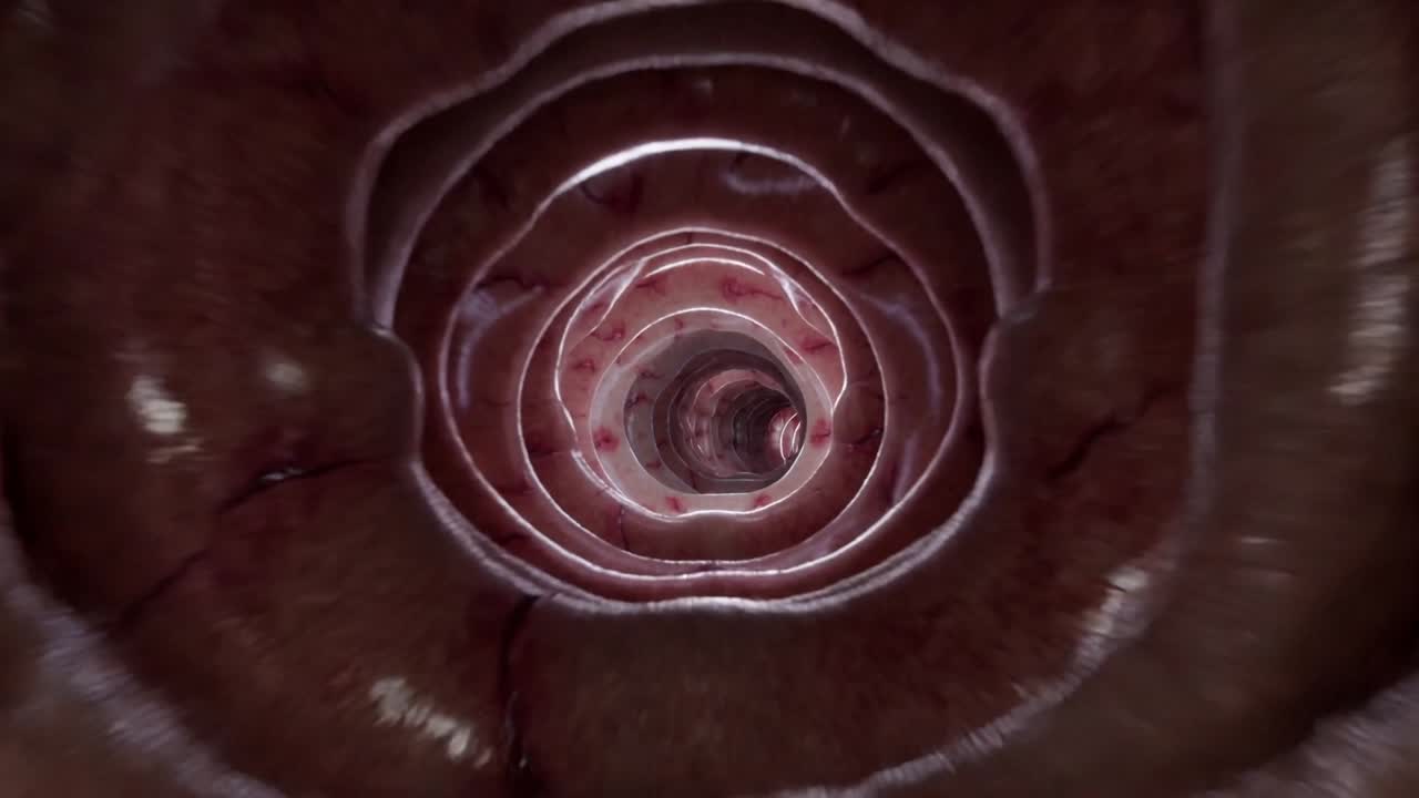 Endoscopio che avanza attraverso il lume mucoso, luce che traccia anelli e striature vascolari per uso medico