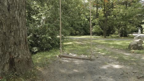 Back-yard-rope-swing-surrounded-by-scenic-beauty