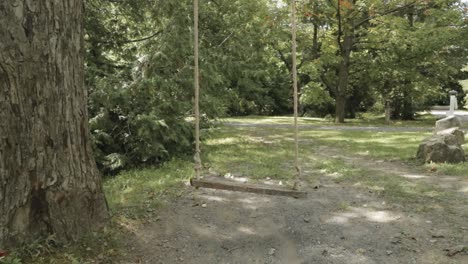columpio de cuerda en el patio trasero rodeado de belleza escénica