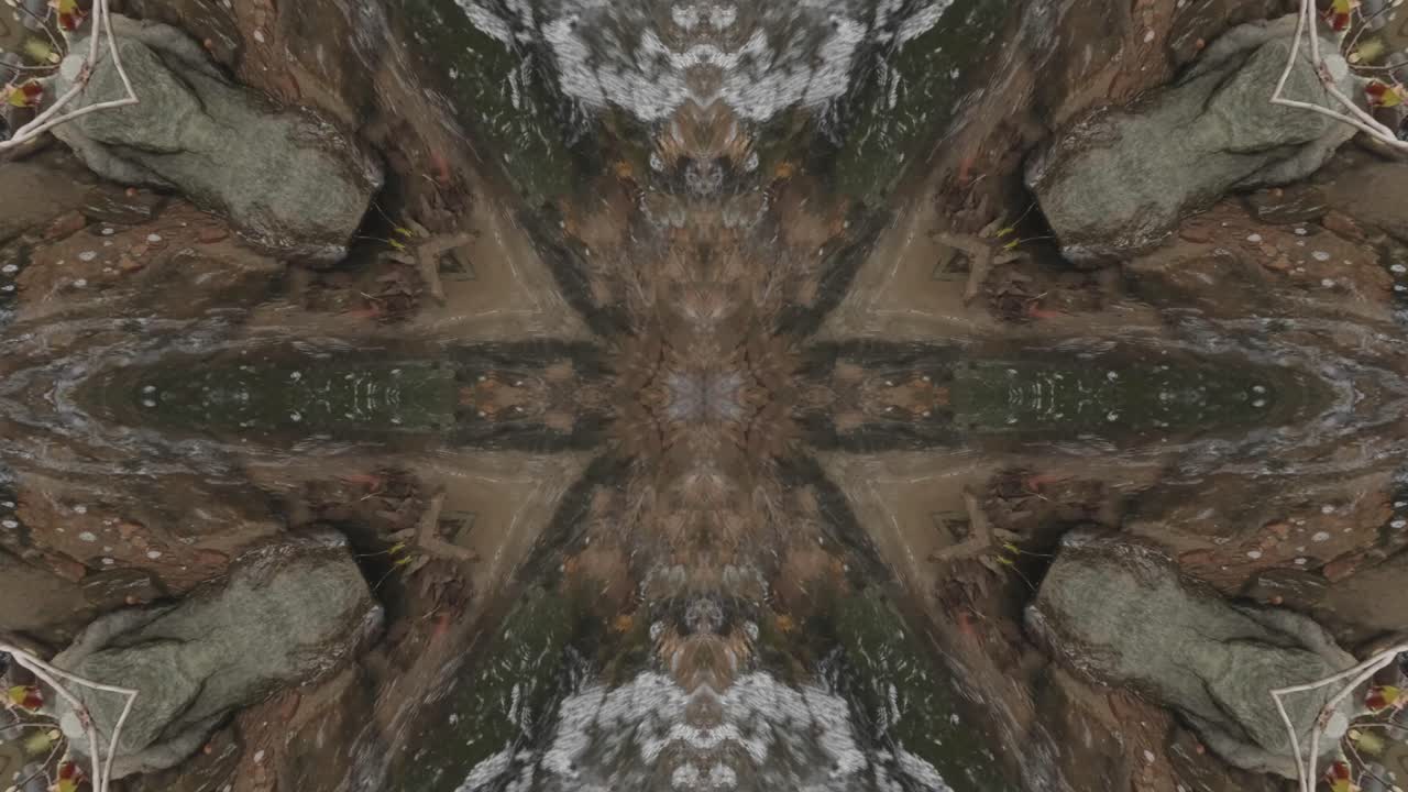 caleidoscopio de tomas de la naturaleza, wissahickon creek