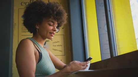 female customer in coffee shop window messaging using mobile phone