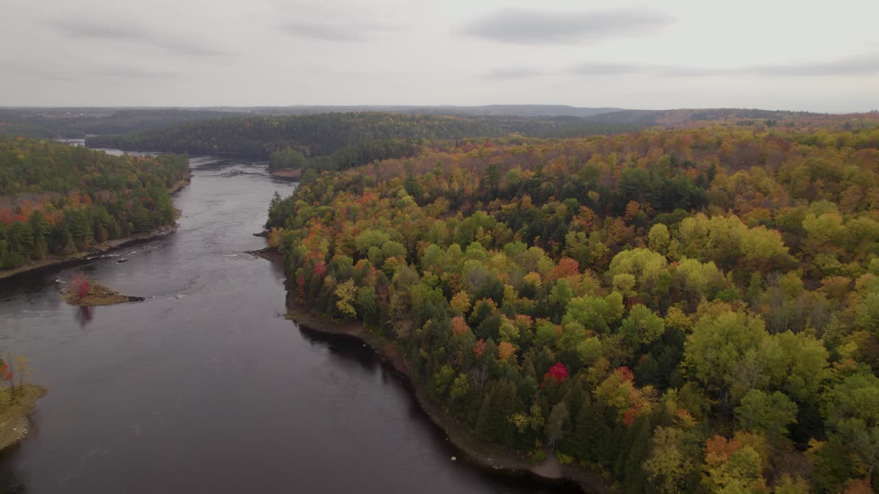 High aerial over Canadian forests in full autumn colours under a grey sky, a river flowing peacefully through it