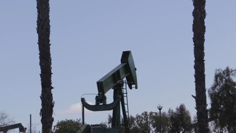 Oil-pumps-and-palm-trees