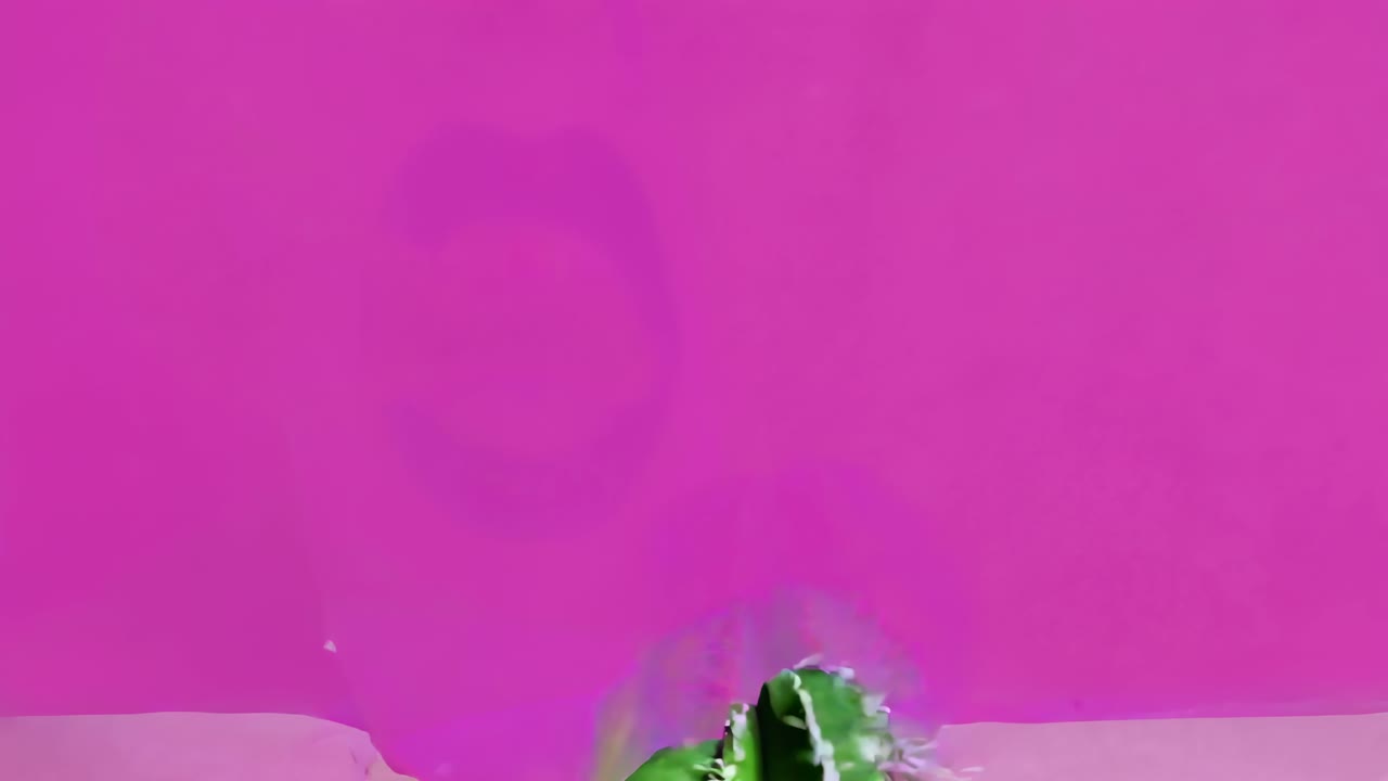 cactus y labios naturaleza muerta artística