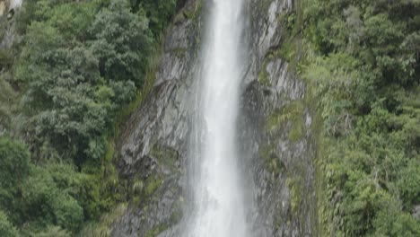 agua cayendo de un bosque en thunder creek falls, costa oeste, nueva zelanda