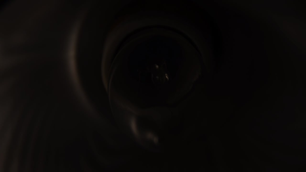 스텐 들리어 전구가 조명 장치 내부에서 박거리는 클로즈업