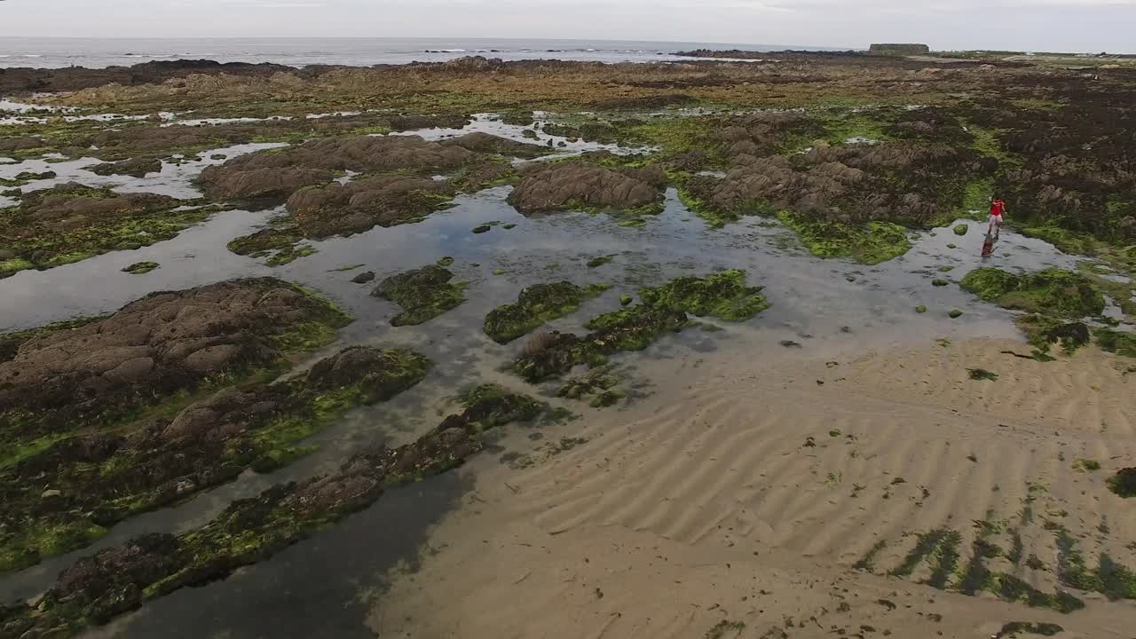 volando sobre la costa de rocas marinas