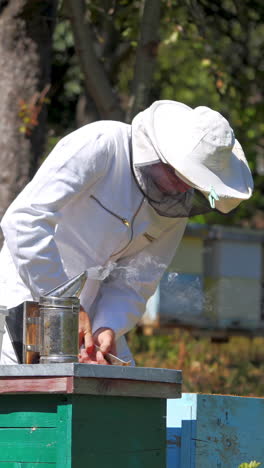 experienced beekeeper in protective uniform on apiary. man apiarist examining bees in beehives among green nature. apiculture business. honey production. vertical video