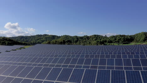 Aerial:-Low-altitude-shot-of-green-field-covered-with-solar-panels