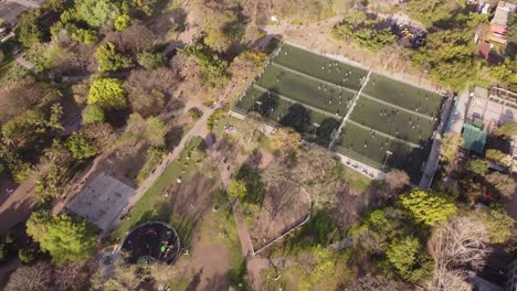 Football-Soccer-Fields-In-Las-Heras-Park,-Buenos-Aires-City-In-Argentina