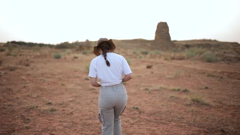 Traveler-walking-in-desert-field