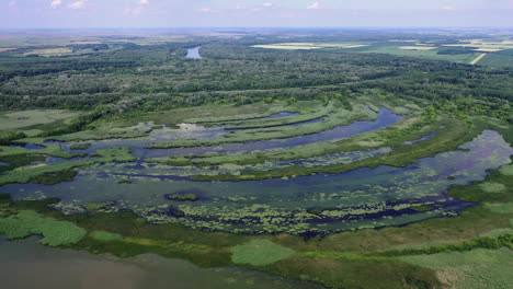 Hermosos-Paisajes-Del-Lago-Tisza-En-Hungría