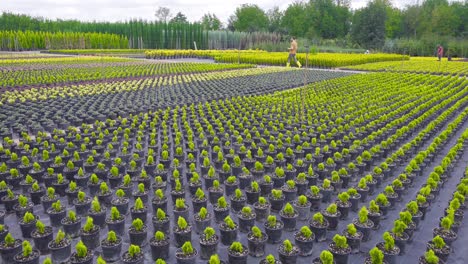 joven ingeniero agrícola que trabaja.