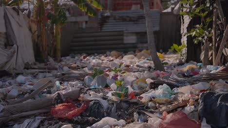 a lot of garbage accumulated on the side of the river