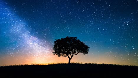 a tree is silhouetted against a dark sky with a few stars. the scene is peaceful and serene, with the tree standing alone in the middle of the field. the darkness of the sky