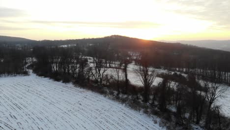 Vista-Aérea-De-La-Puesta-De-Sol-Del-Bosque-De-Invierno