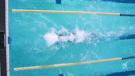 swimmer training in a swimming pool