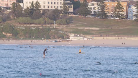 tourists enjoying paddleboarding at north bondi beach in sydney, australia