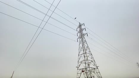 Ein-Vogel-Schwebt-über-Einer-Hochspannungsleitung-Vor-Blauem-Himmel-Und-Fängt-Die-Schönheit-Und-Gefahr-Der-Elektrischen-Infrastruktur-Ein