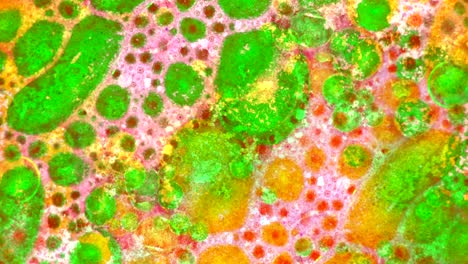 fabulous patterns