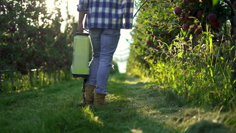 farmer walking through an apple orchard with a sprayer