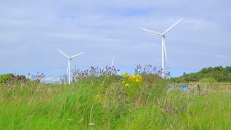 wind turbines tracking shot with rubbish dumped in grassy meadow on cloudy summer day