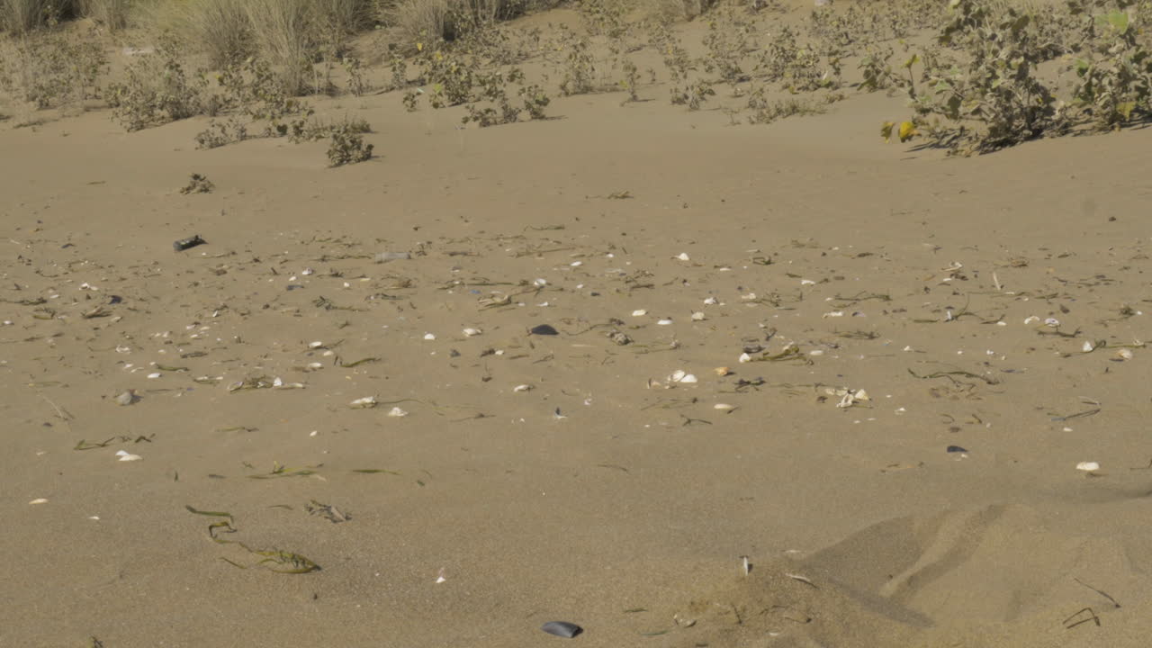 песок, осыпающийся на пляже