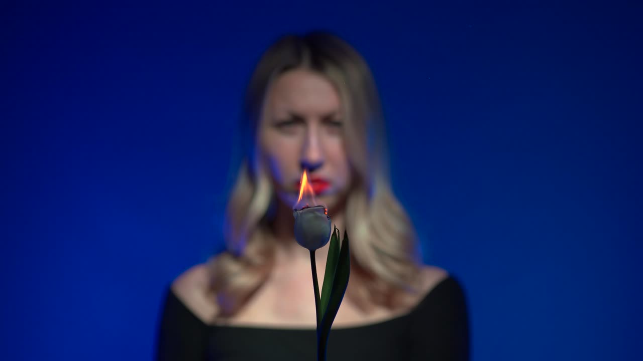 Out of focus young beautiful blonde woman with luscious red lips holding a burning white tulip flower in front of her face on a vivid dark blue background - 4K
