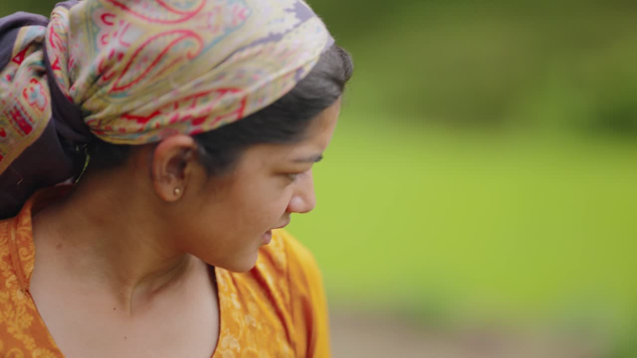 Indian woman farmer making eye contact with the camera while working in wet rice fields, peaceful rural moment, 4k video