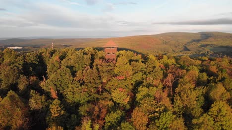 Aerial-orbit-of-lookout-point,-flying-birds-and-idyllic-forest,-autumn