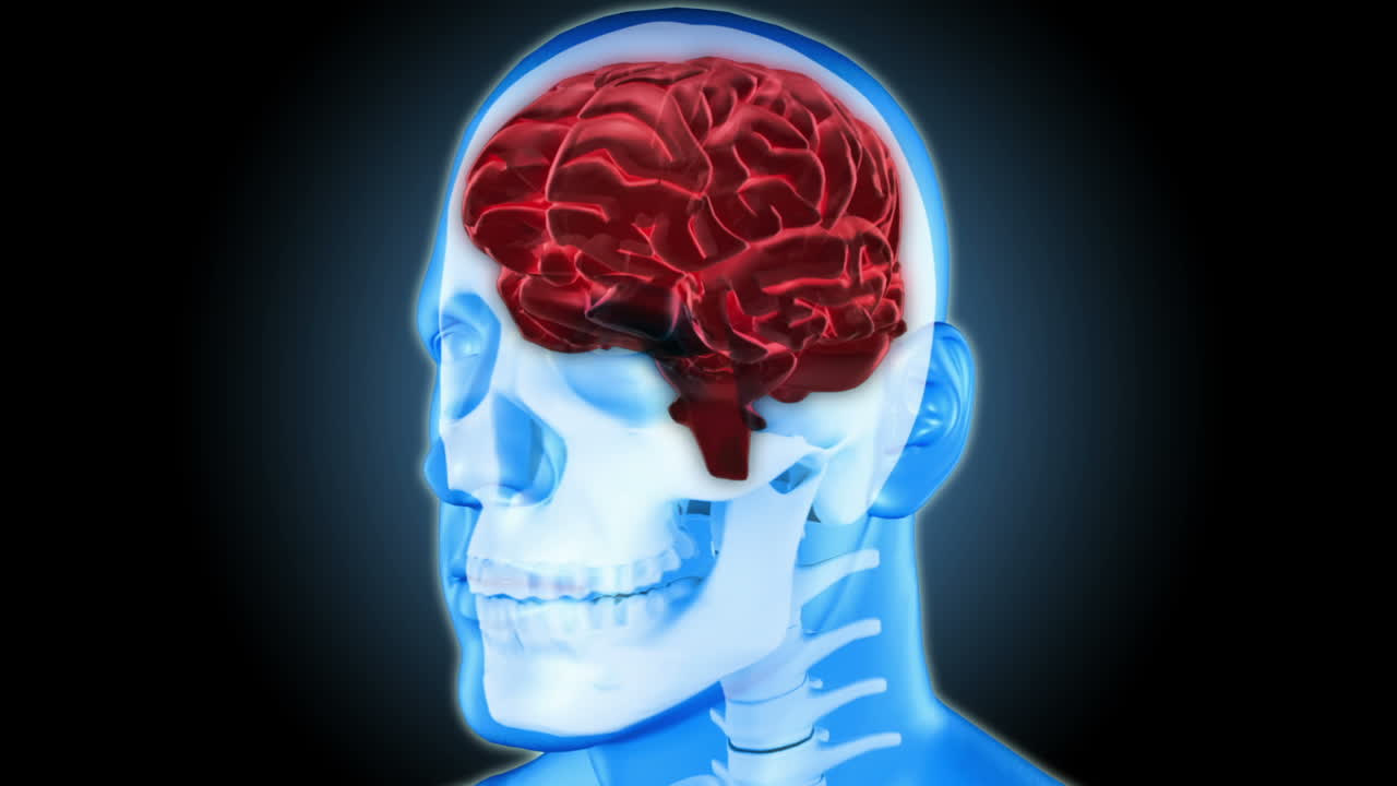 두통을 확대하여 회전하는 인간의 머리 표현