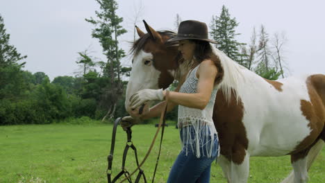 trained young woman rider puts a bridle on her male pinto horse