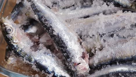 salted anchovies in a glass bowl